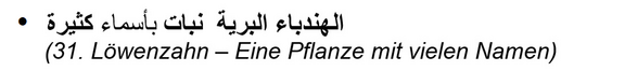 arabisch_31_Loewenzahn.png  