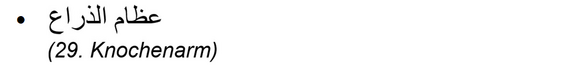 arabisch_29_Knochenarm.png  